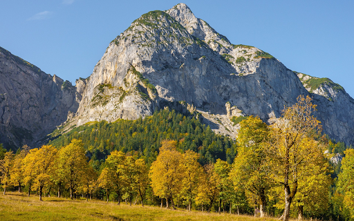 Forest of yellow leaves  from Chrome web store to be run with OffiDocs Chromium online