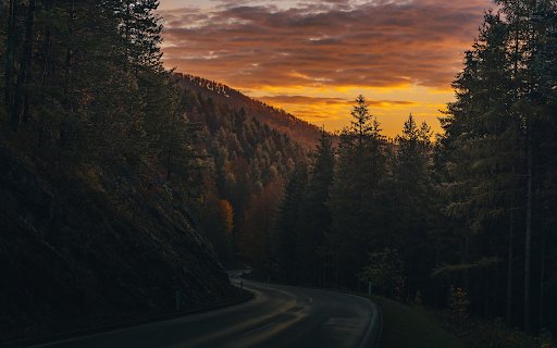 Forest Road at Dusk  from Chrome web store to be run with OffiDocs Chromium online