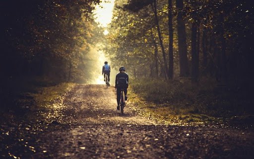 FOREST ROAD Theme  from Chrome web store to be run with OffiDocs Chromium online