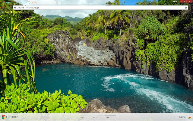 Forest Tropical aus dem Chrome-Webshop soll mit OffiDocs Chromium online betrieben werden