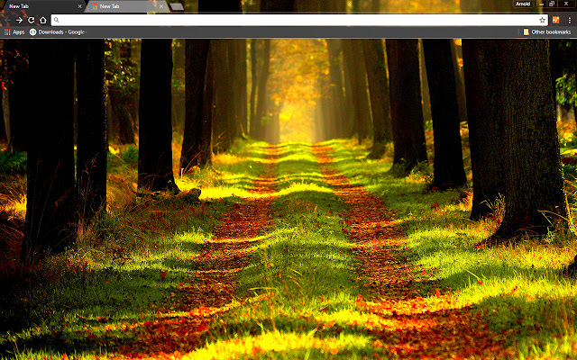 Forest Way aus dem Chrome-Webshop zur Ausführung mit OffiDocs Chromium online