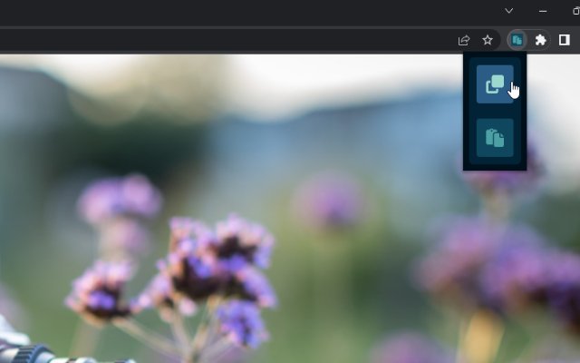 FormCopy  from Chrome web store to be run with OffiDocs Chromium online