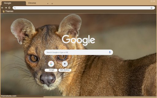 Fossa  from Chrome web store to be run with OffiDocs Chromium online