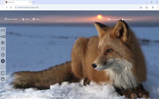 Fox Wallpaper  from Chrome web store to be run with OffiDocs Chromium online