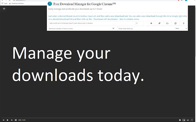 来自 Chrome 网上商店的 Google Chrome™ 免费下载管理器将与 OffiDocs Chromium 在线一起运行