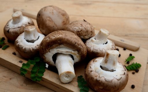 Fresh mushrooms are rich in nutrients from Chrome web store to be run with OffiDocs Chromium online Fresh mushrooms are rich in nutrients from Chrome web store to be run with OffiDocs Chromium online