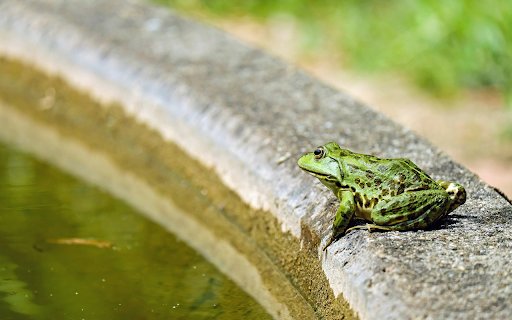Frog nuggets  from Chrome web store to be run with OffiDocs Chromium online