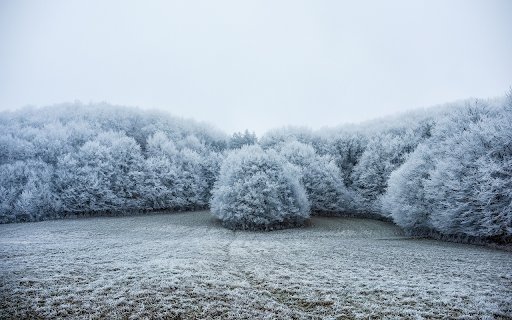 Frozen grove  from Chrome web store to be run with OffiDocs Chromium online