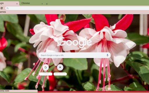 Fuchsia  from Chrome web store to be run with OffiDocs Chromium online