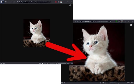 Fullsize Image  from Chrome web store to be run with OffiDocs Chromium online
