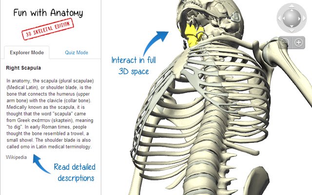 Fun with Anatomy: 3D Skeletal Edition  from Chrome web store to be run with OffiDocs Chromium online