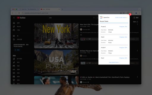 Gantt Pro  from Chrome web store to be run with OffiDocs Chromium online