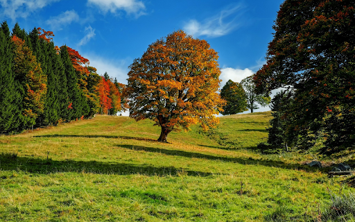 garden  from Chrome web store to be run with OffiDocs Chromium online