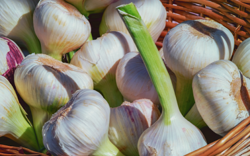 Garlic – A Culinary Essential and Symbol of Vitality  from Chrome web store to be run with OffiDocs Chromium online