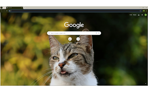 Gata dando lingua from Chrome web store to be run with OffiDocs Chromium online Gata dando lingua from Chrome web store to be run with OffiDocs Chromium online