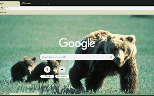 Gau xam  from Chrome web store to be run with OffiDocs Chromium online