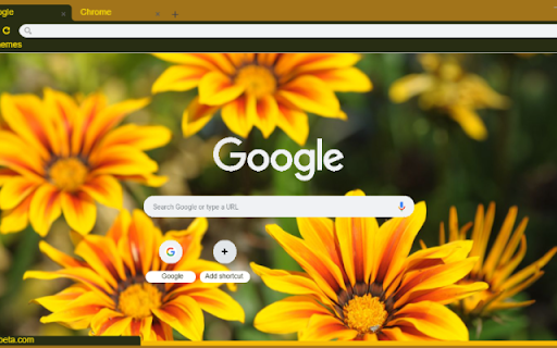 Gazania Rigens  from Chrome web store to be run with OffiDocs Chromium online