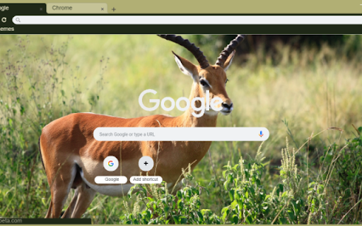 Gazelle  from Chrome web store to be run with OffiDocs Chromium online