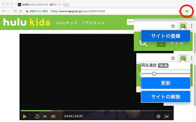 GCon  from Chrome web store to be run with OffiDocs Chromium online