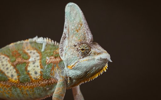 gecko and crest  from Chrome web store to be run with OffiDocs Chromium online