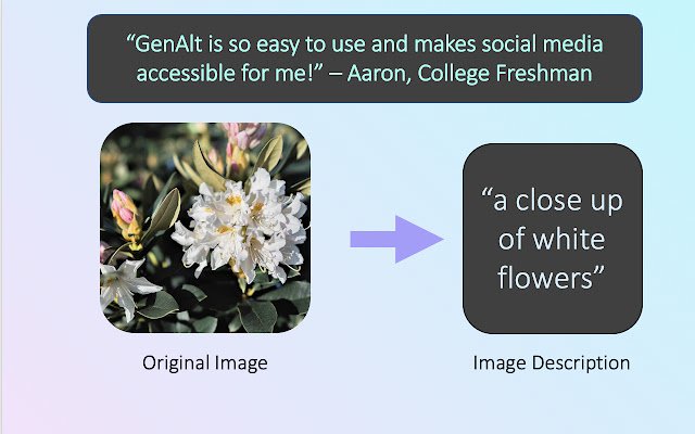 GenAlt Generated Alt Text for BVI  from Chrome web store to be run with OffiDocs Chromium online