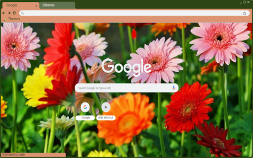 Gerbera  from Chrome web store to be run with OffiDocs Chromium online