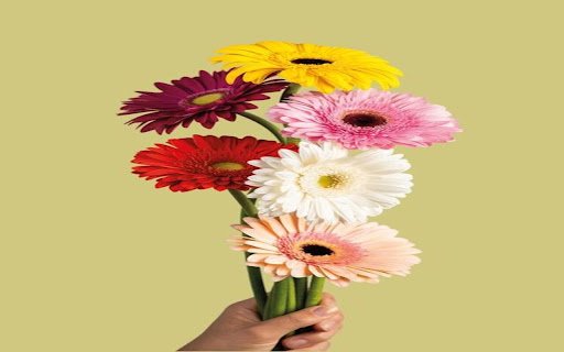 gerbera bouquet wallpaper  from Chrome web store to be run with OffiDocs Chromium online