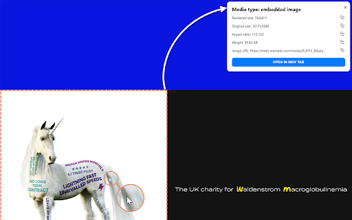 Get Image Info  from Chrome web store to be run with OffiDocs Chromium online