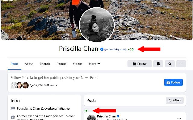 Kumuha ng Positibilidad na Marka para sa isang profile sa Facebook mula sa Chrome web store na tatakbo sa OffiDocs Chromium online