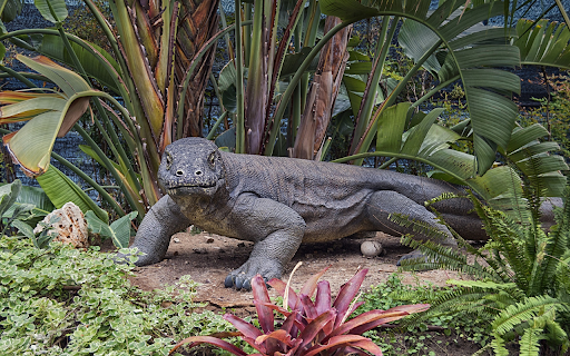 Giant lizard  from Chrome web store to be run with OffiDocs Chromium online