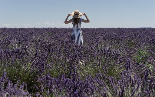Girl and flower field from Chrome web store to be run with OffiDocs Chromium online Girl and flower field from Chrome web store to be run with OffiDocs Chromium online