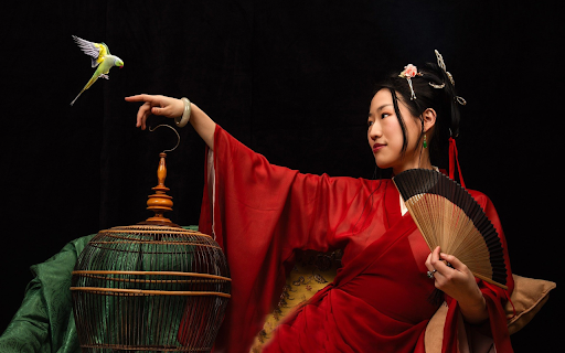 Girl and parrot  from Chrome web store to be run with OffiDocs Chromium online