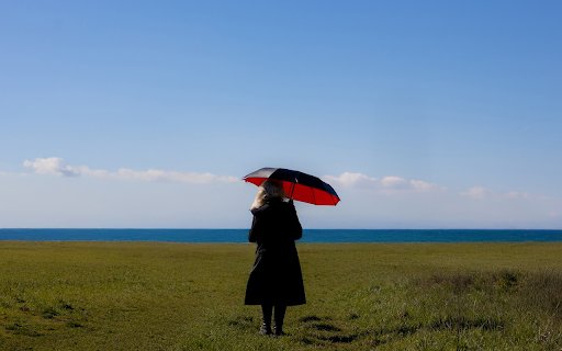 Girl and sea  from Chrome web store to be run with OffiDocs Chromium online