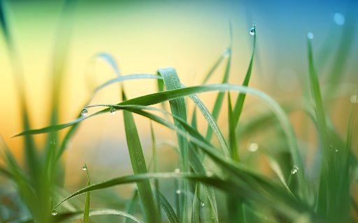 Glittering dew drops  from Chrome web store to be run with OffiDocs Chromium online