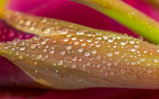 Glittering drops of water  from Chrome web store to be run with OffiDocs Chromium online