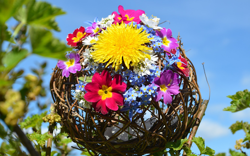 Glowing fresh flower ball  from Chrome web store to be run with OffiDocs Chromium online
