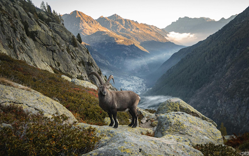 Goat on the mountain  from Chrome web store to be run with OffiDocs Chromium online