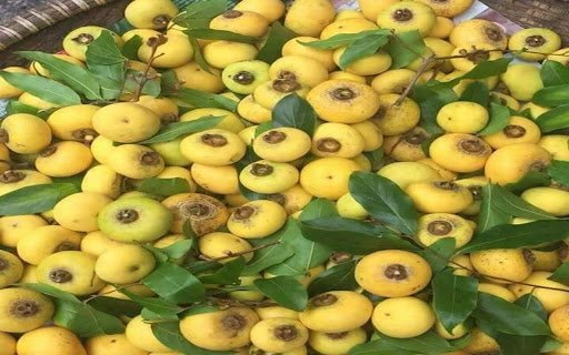 golden cherry wallpaper  from Chrome web store to be run with OffiDocs Chromium online