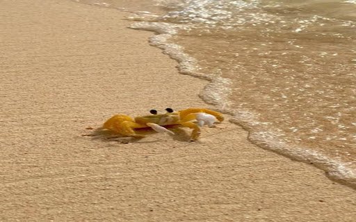 Golden crab wallpaper in the sand  from Chrome web store to be run with OffiDocs Chromium online