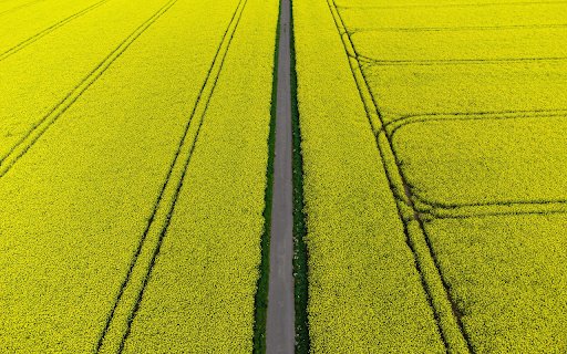 Golden field from Chrome web store to be run with OffiDocs Chromium online Golden field from Chrome web store to be run with OffiDocs Chromium online
