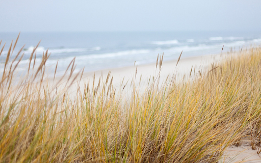 Golden lawn  from Chrome web store to be run with OffiDocs Chromium online