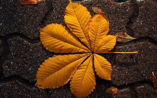 golden leaf  from Chrome web store to be run with OffiDocs Chromium online