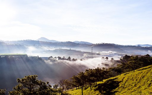 Golden sunlight shines  from Chrome web store to be run with OffiDocs Chromium online