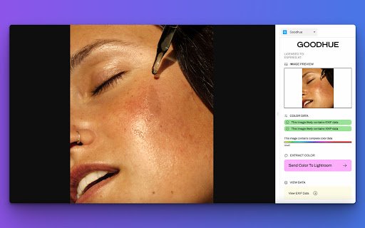 Goodhue Read EXIF and XMP Information  from Chrome web store to be run with OffiDocs Chromium online