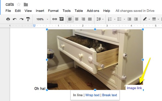 Google Docs Show Image Source  from Chrome web store to be run with OffiDocs Chromium online