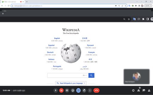 Google Meet Zoom In Zoom Out  from Chrome web store to be run with OffiDocs Chromium online