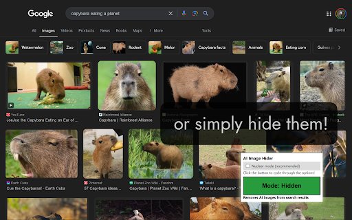 Google Search AI Image Hider  from Chrome web store to be run with OffiDocs Chromium online