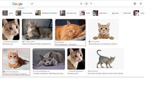 Google Search Filter from Chrome web store to be run with OffiDocs Chromium online Google Search Filter from Chrome web store to be run with OffiDocs Chromium online