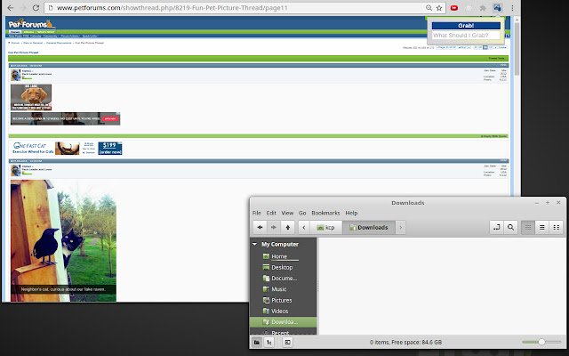 Prendi n Tag dal negozio web di Chrome per eseguirlo con OffiDocs Chromium online