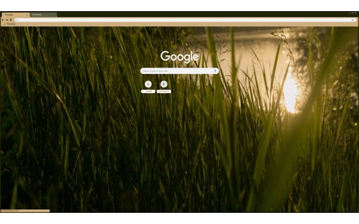 Grass from Chrome web store to be run with OffiDocs Chromium online Grass from Chrome web store to be run with OffiDocs Chromium online